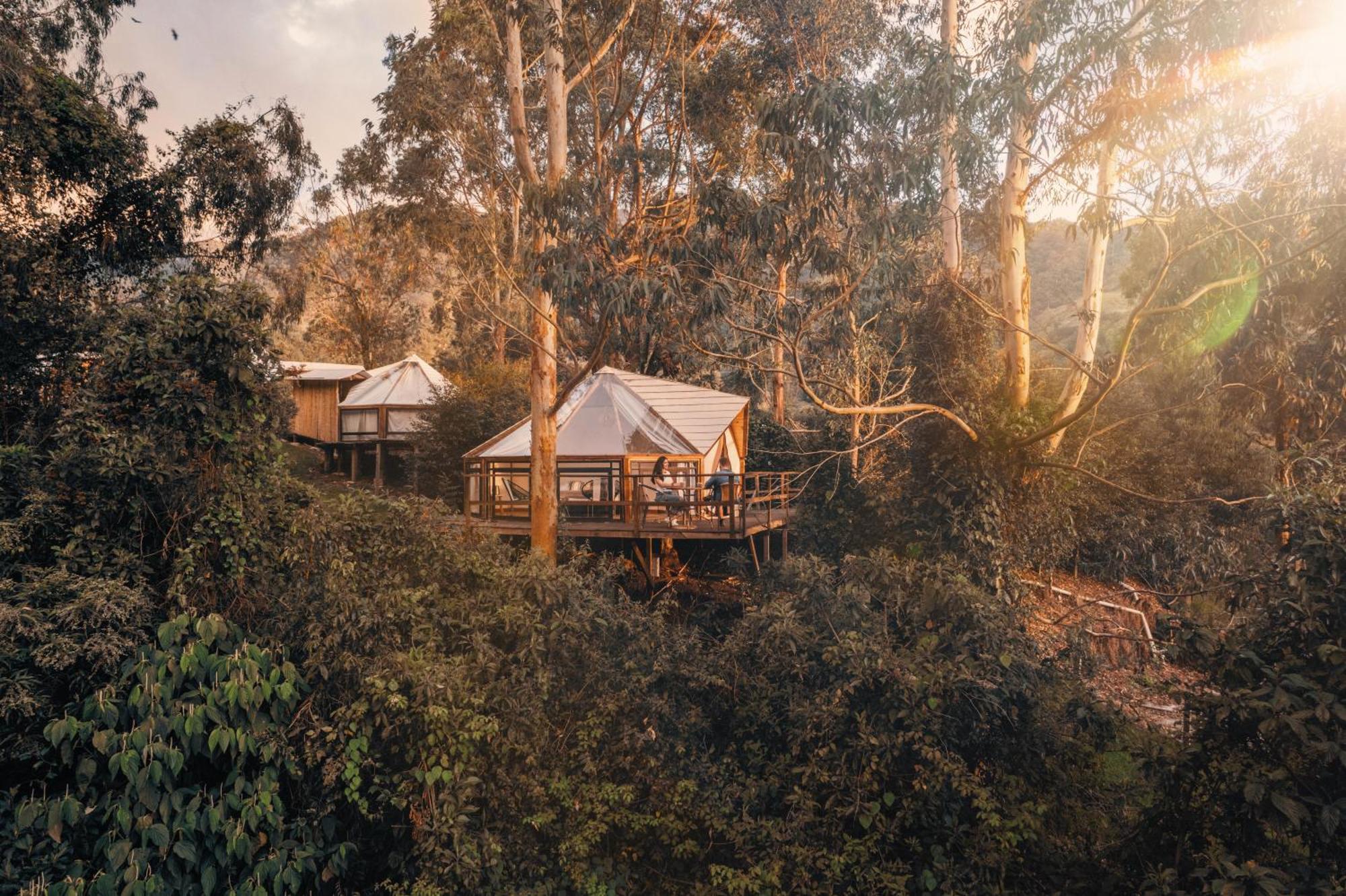 Glamping Lumbre Villa Salento Exterior foto