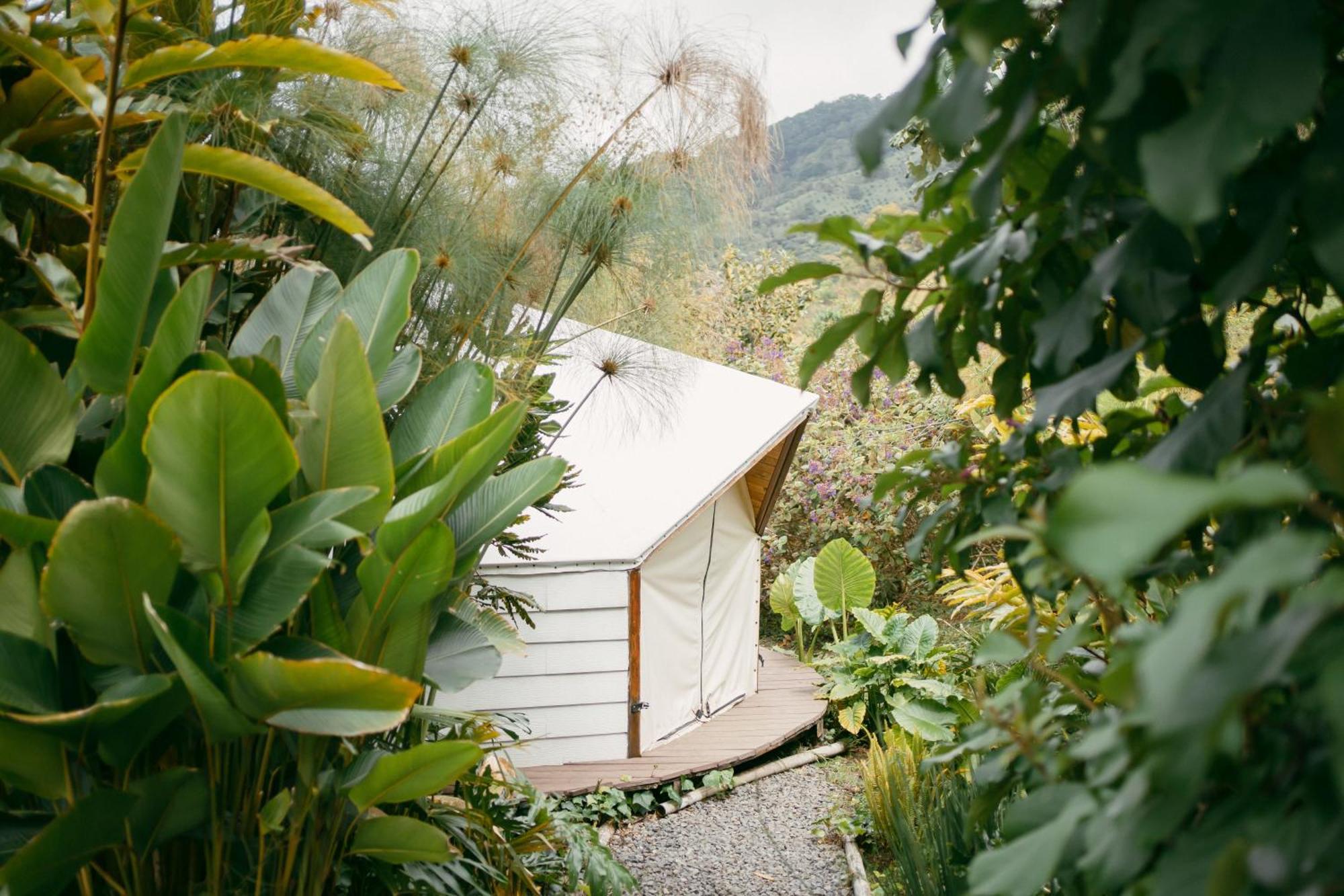 Glamping Lumbre Villa Salento Exterior foto